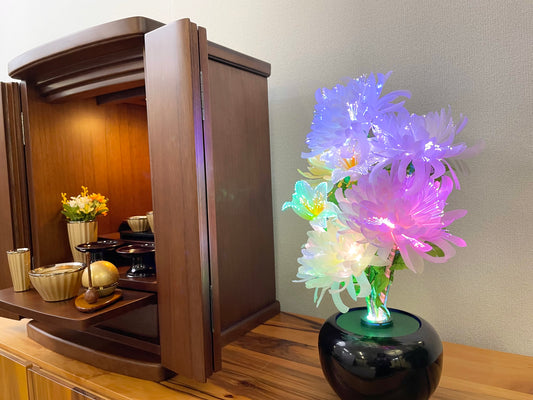 グランドルミナス いろどり菊